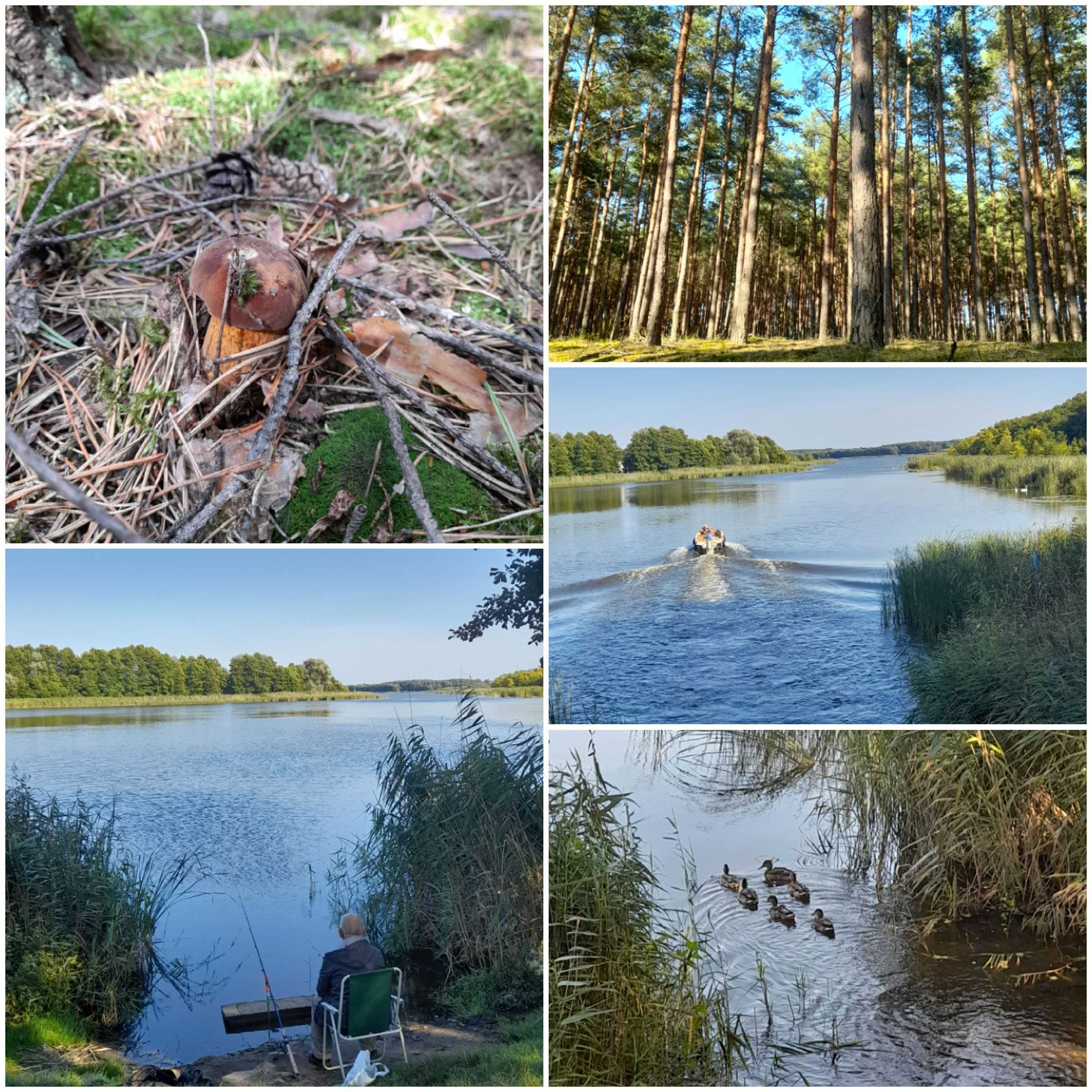 KOMFORTOWY Domek nad jeziorem na wyłączność_ogrodzony_plac zabaw_taras