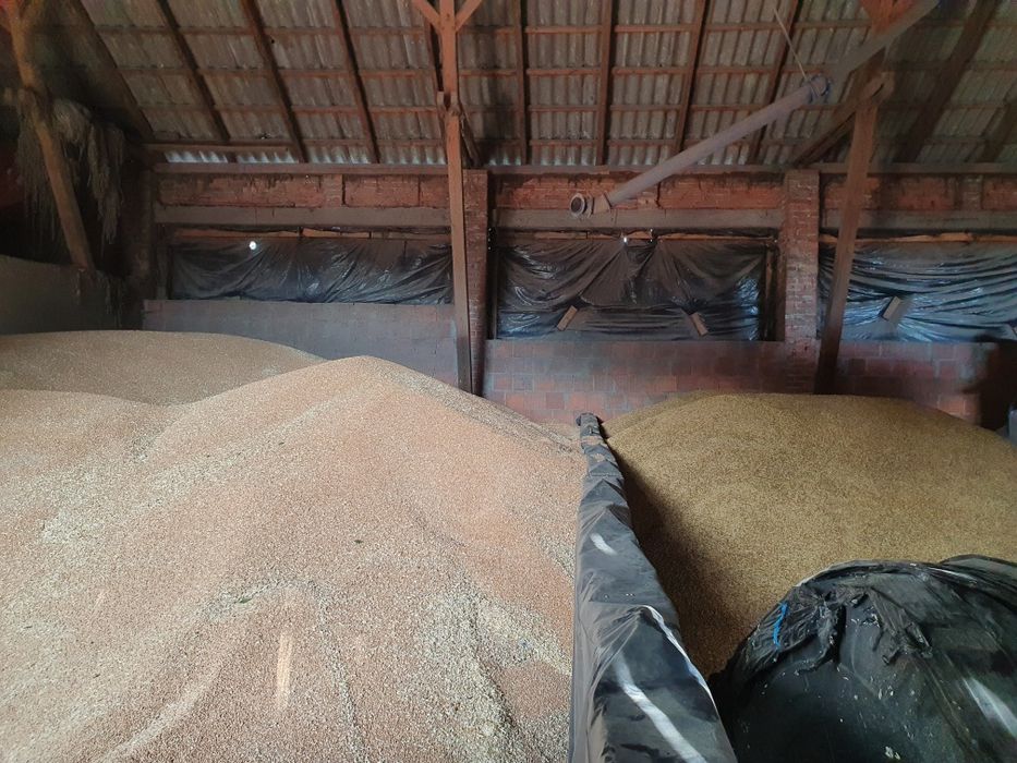 Sciana oporowa przegroda betonowa silos zboże wiata kruszywa kukurydza