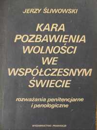 Kara pozbawienia wolności we współczesnym świecie