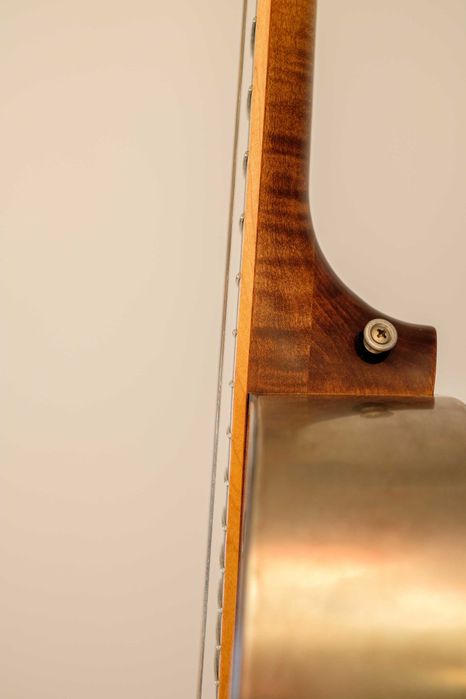 Guitarra Mule Resonator Tricone