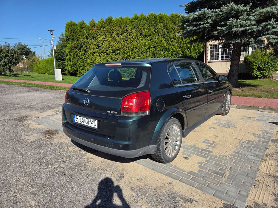 Opel Signum 1.9 CDTI Cosmo 2005r