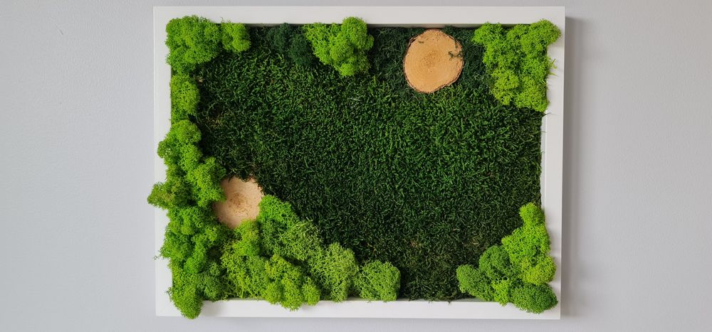 Dekoracja, obraz mech chrobotek