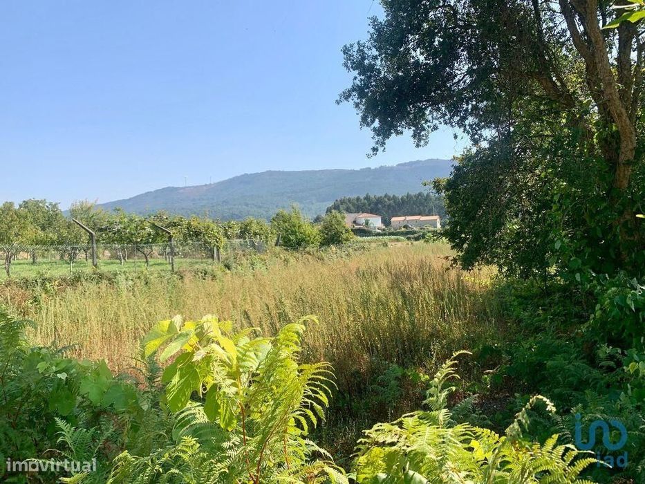 Terreno em Riba de Âncora de 300,00 m2