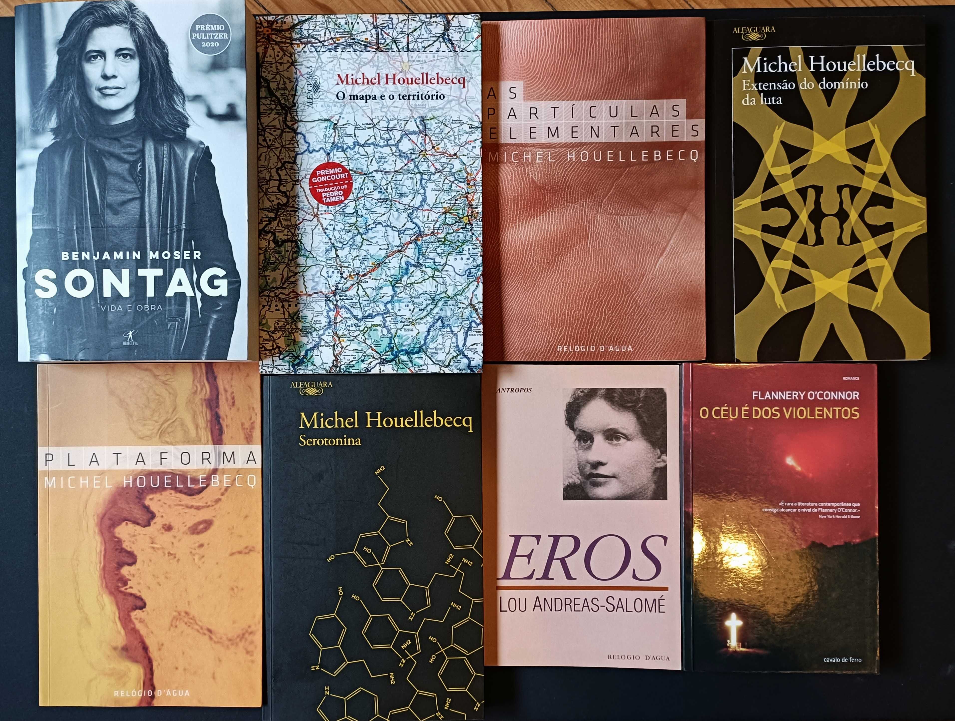Lote 7 livros excecionais! Só 75,00€!