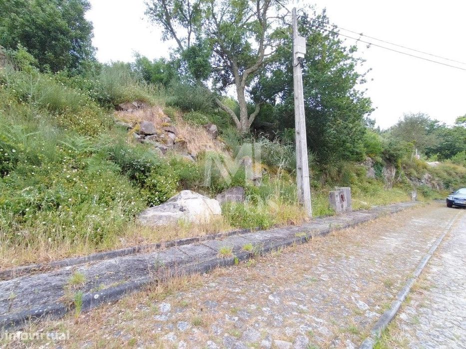 Lotes para venda em Âncora