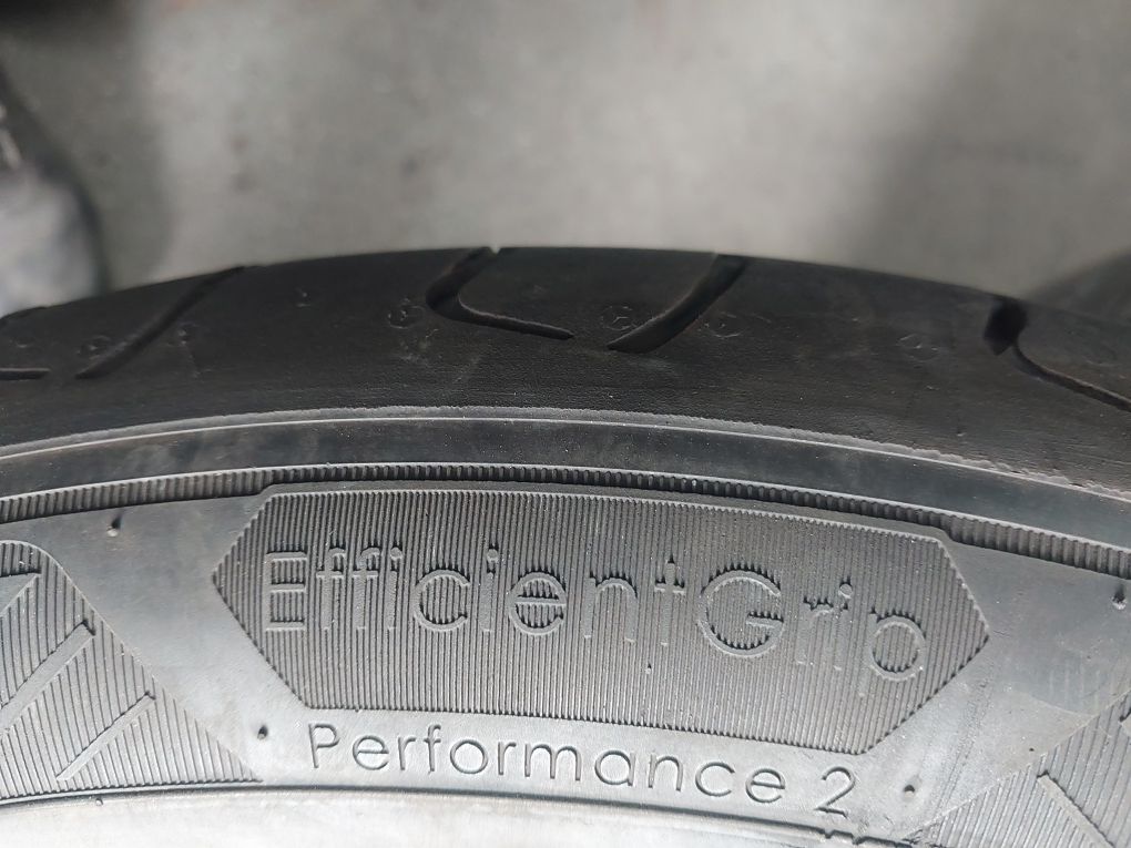 Goodyear EfficientGrip Performance 2 205/55R16 91 H