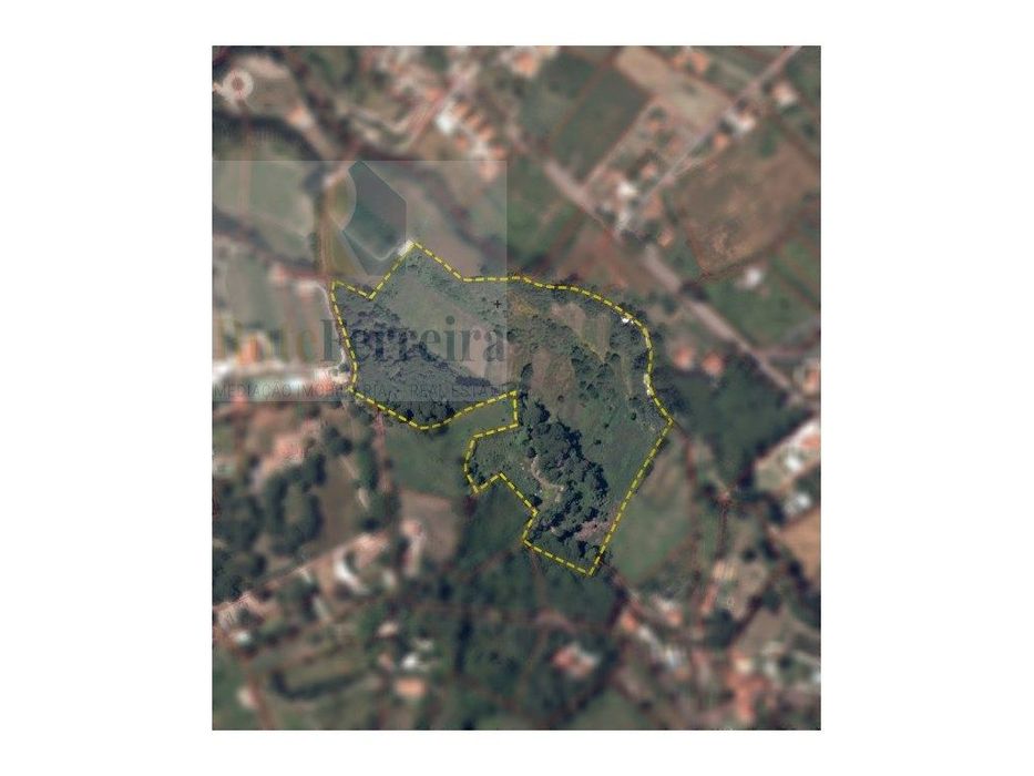 Um Refúgio Natural no Coração de Sintra