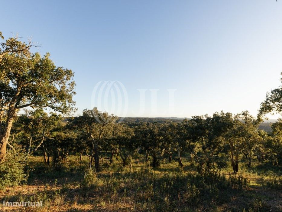 Terreno, com vista Mar e Serra, em Santiago do Cacém