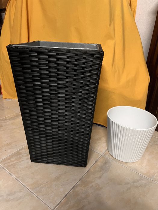 Vaso plantas cinzento