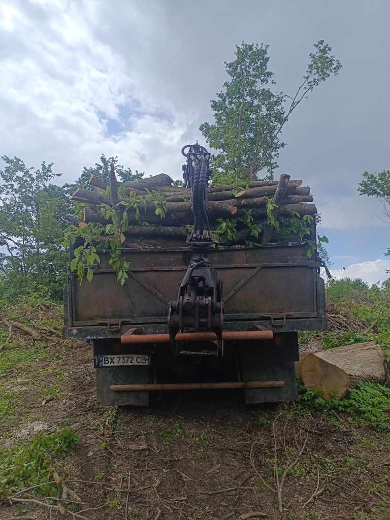 продам дрова двометрові