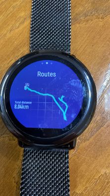 SmartWatch Xiaomi Amazefit Pace