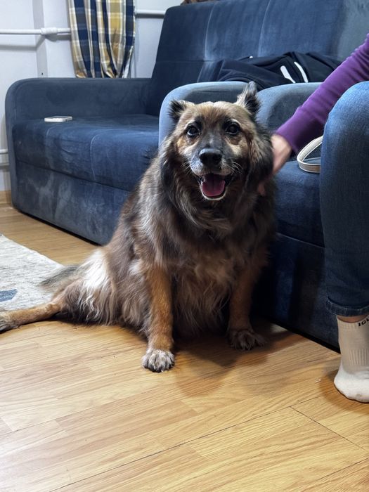 Po 5 latach traci dom :(