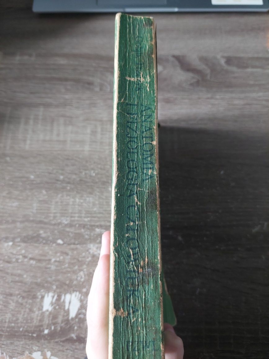 Anatomia i fizjologia człowieka Bogusław Gołąb 1981