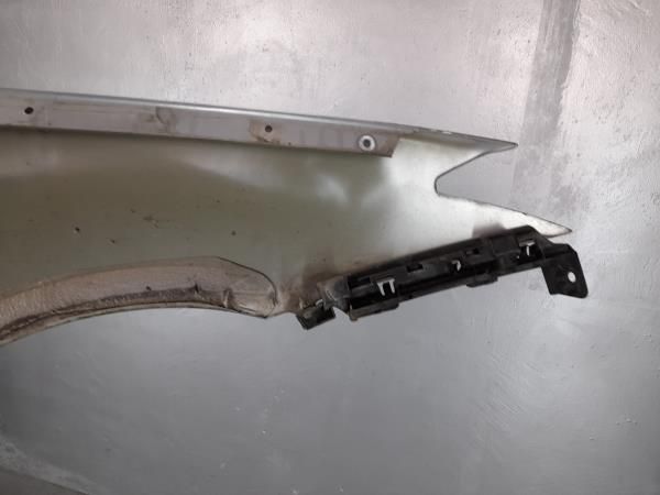 Guarda-lamas esquerdo RENAULT Laguna III (BT0/1)