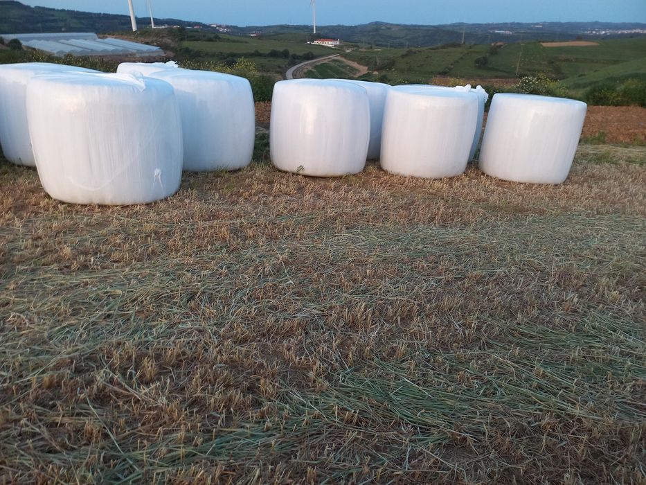 Rolos de fenosilagem