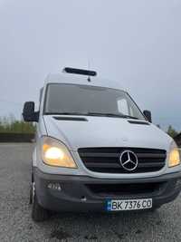 Mersedes Sprinter519