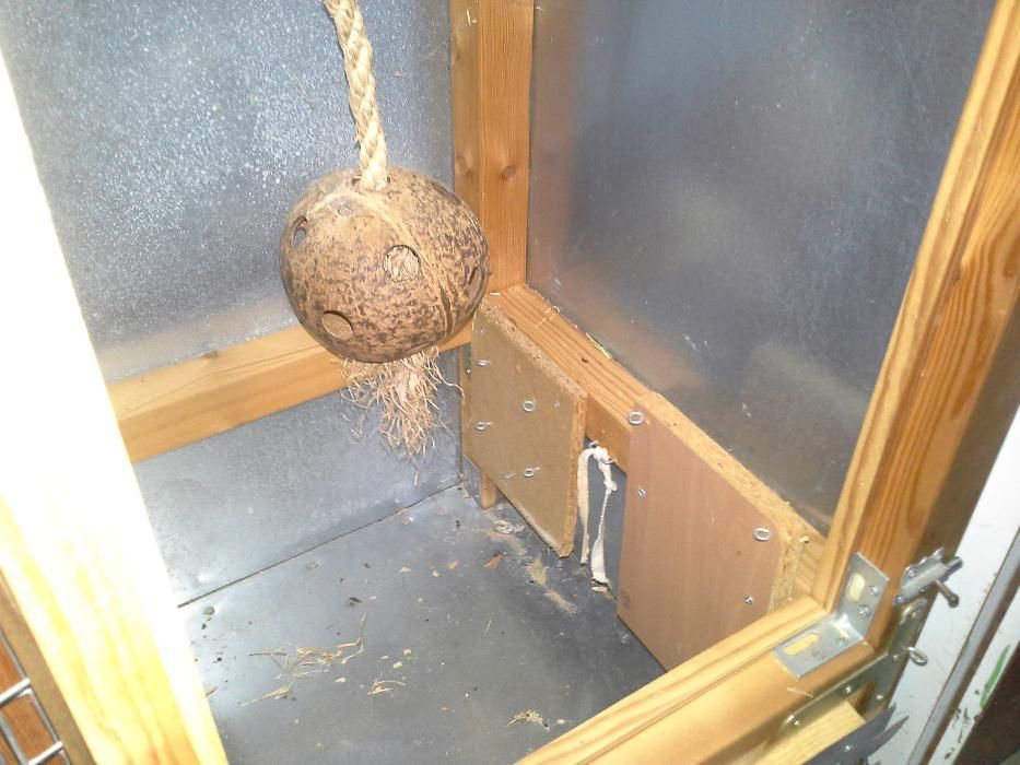 Gaiola para Esquilos