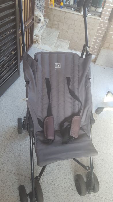 Carrinho  para  passear  bebês