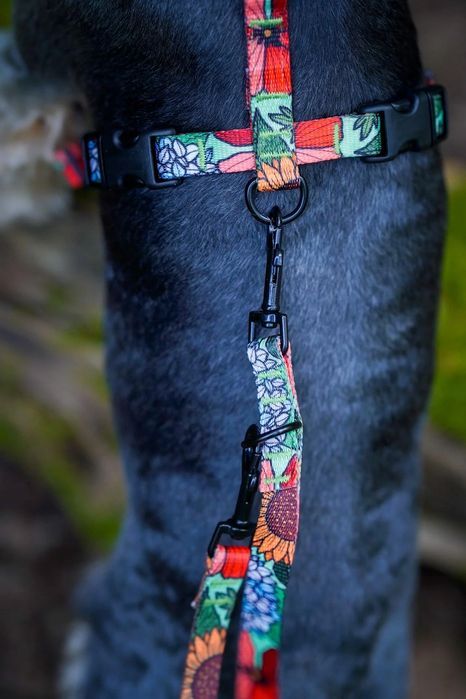 bezpieczne szelki guard dla małego psa szczeniaka york szpic s 15 mm