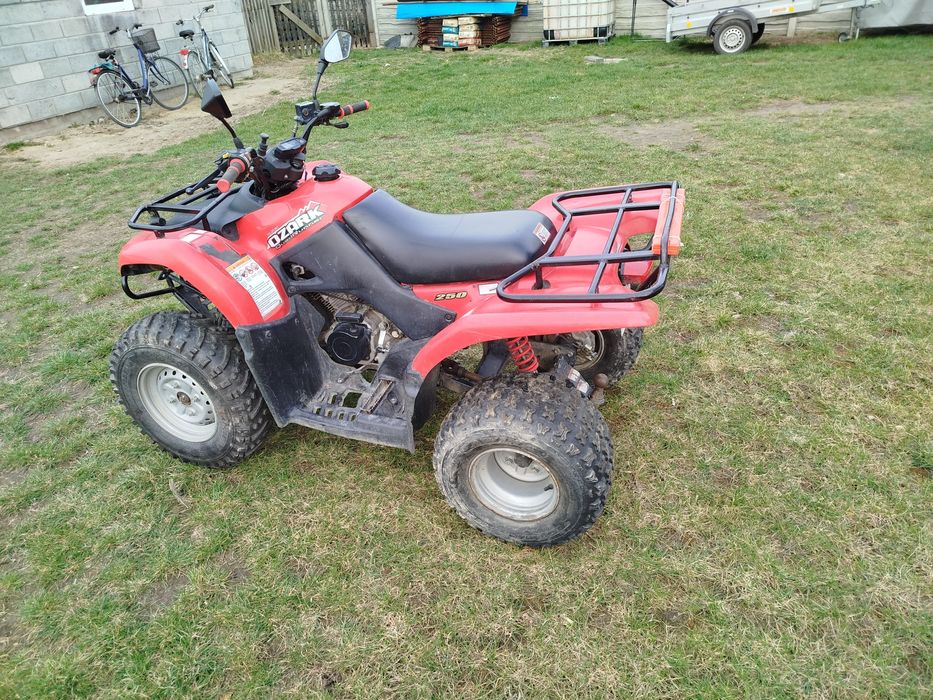 Quad Suzuki Ozark