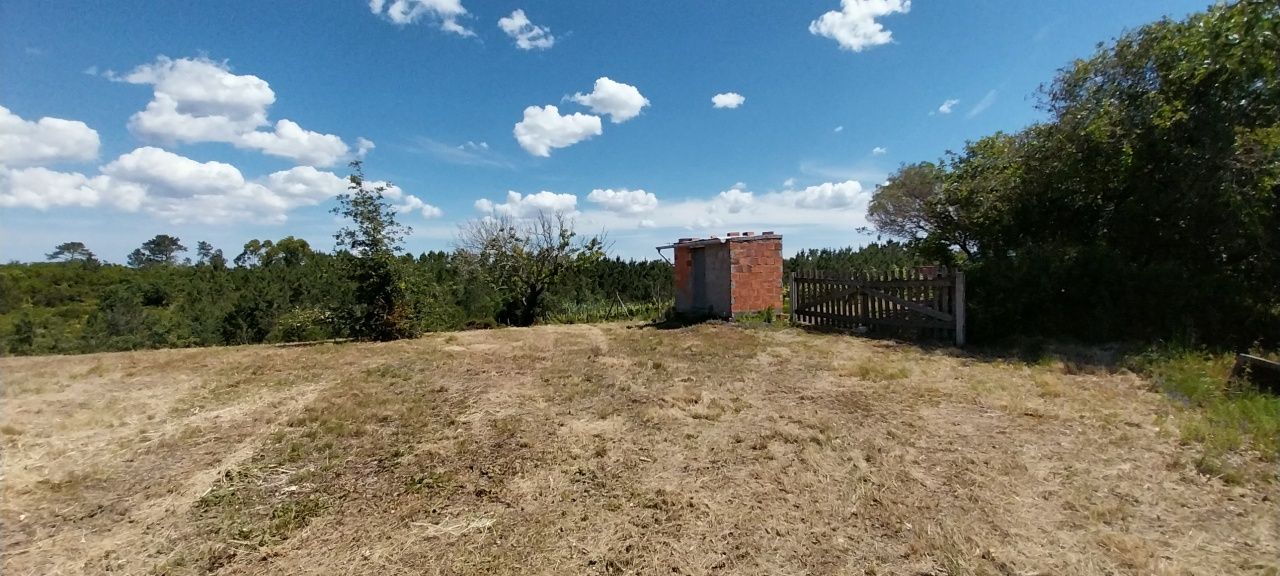 Terreno em Alcobaça