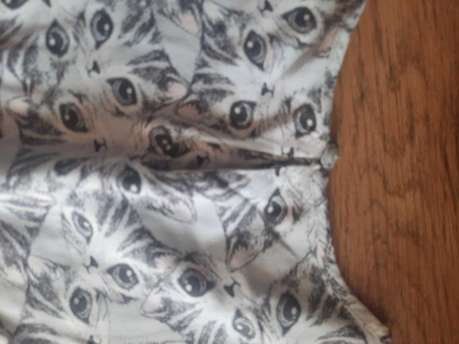 Śliczna sukienka w koty H&M 128 cm
