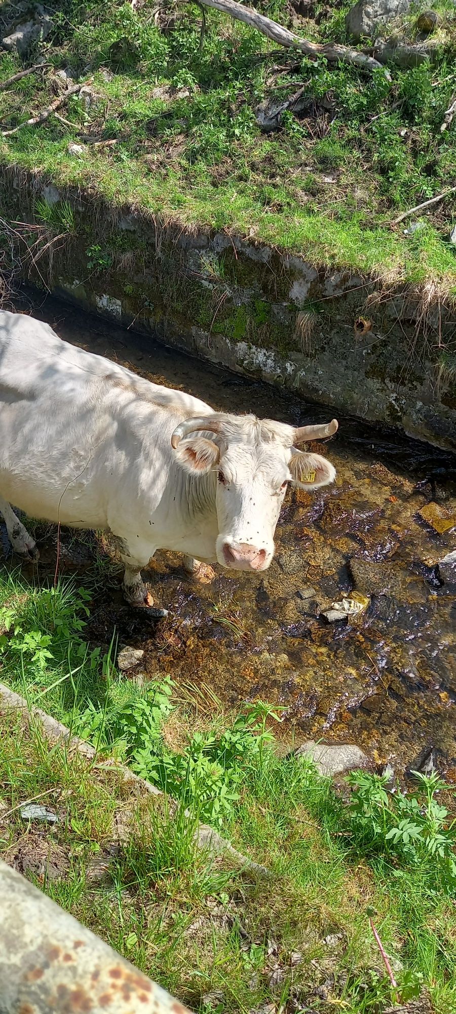 Domek w górach ferie  , święta , wakacje , urodziny, weekend