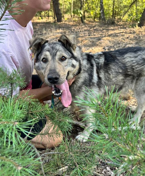 SILVER - najpogodniejszy misiaczek do pokochania!