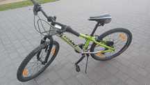 Rower dziecięcy Giant 24"