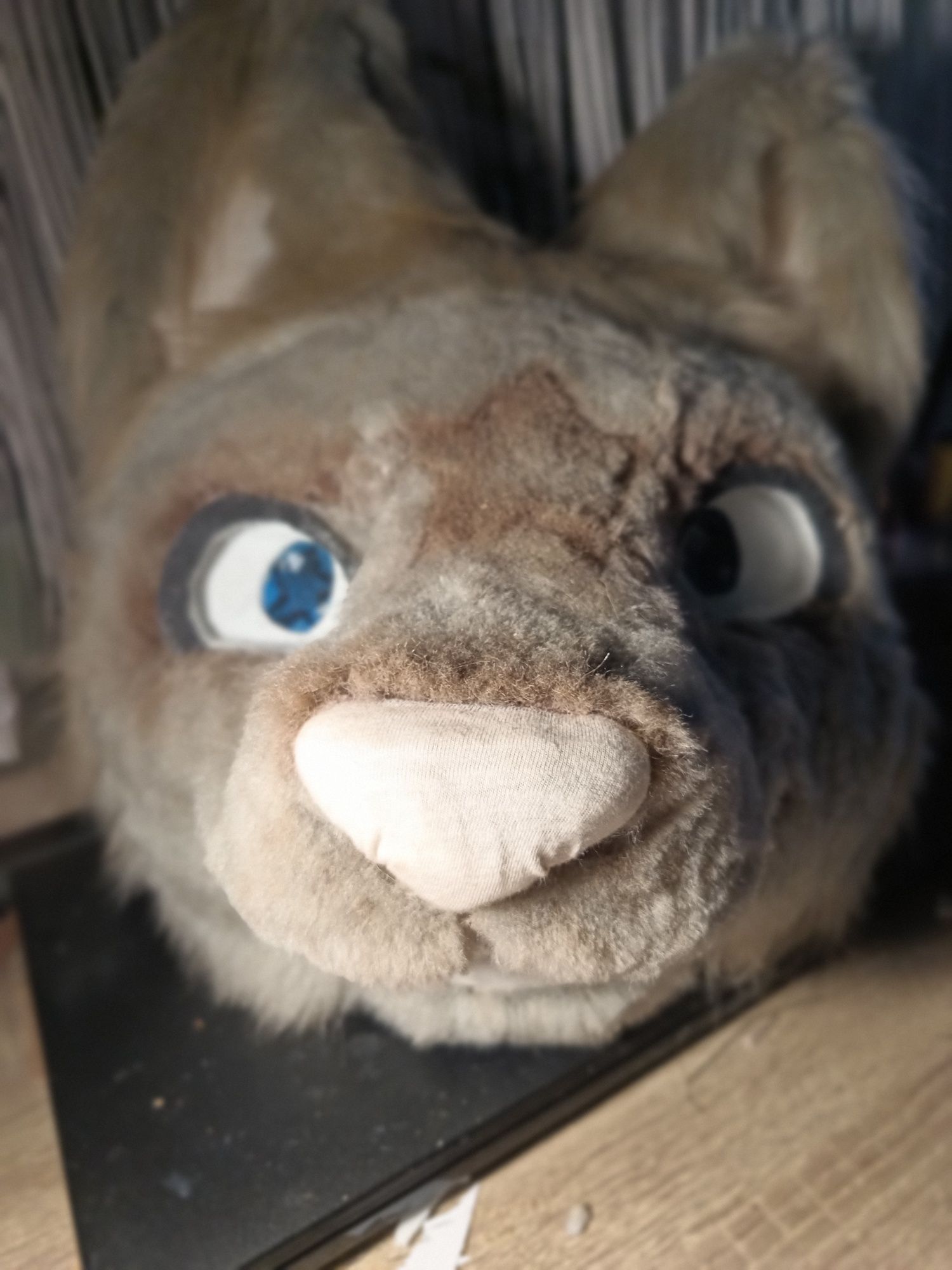 Fursuit head shaza