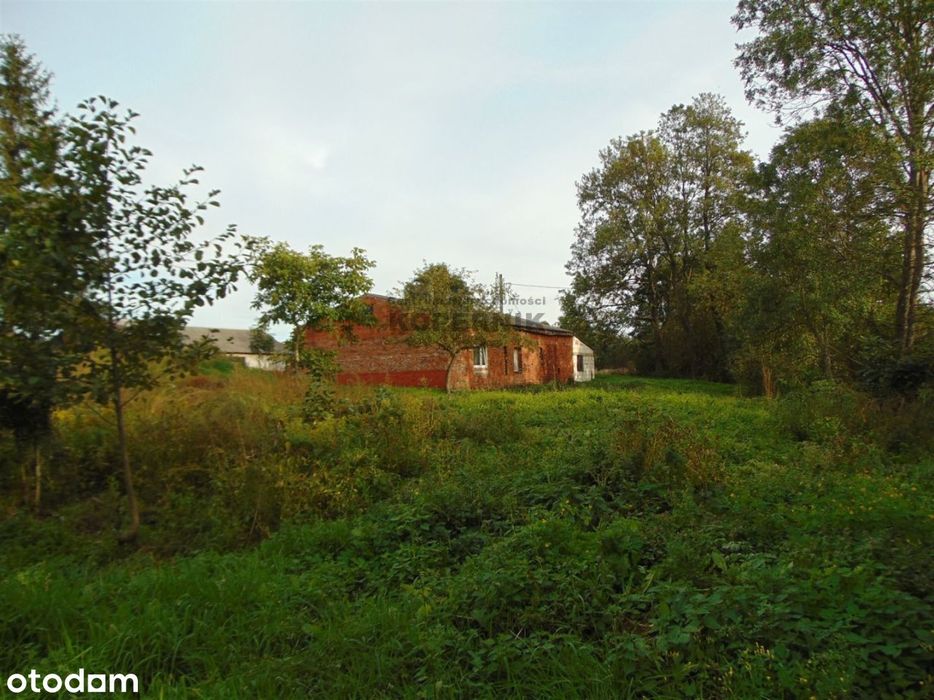 Siedlisko blisko Torunia!!!