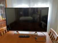 Televisor Panasonic LCD 44”