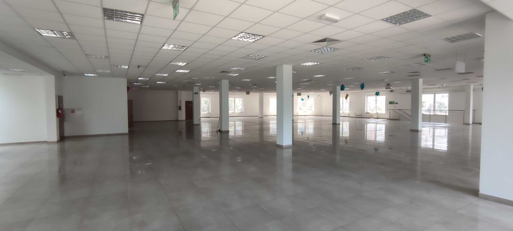 Lokal 700m2 do wynajęcia w Centrum Połańca