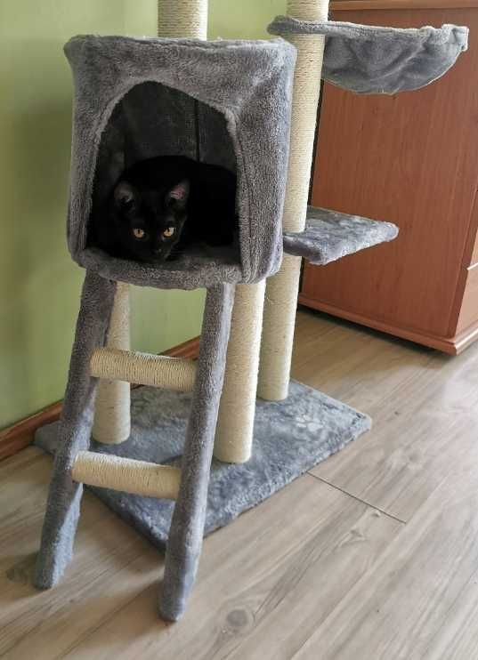 NOWY drapak dla kota wiele poziomów 138cm + domek