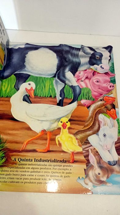 Animais da Quinta - Na Ponta dos Dedos