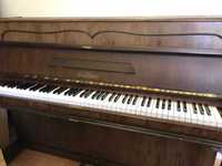 Pianino Balthur-