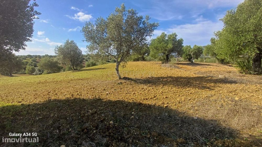 Terreno com 12.630 m2