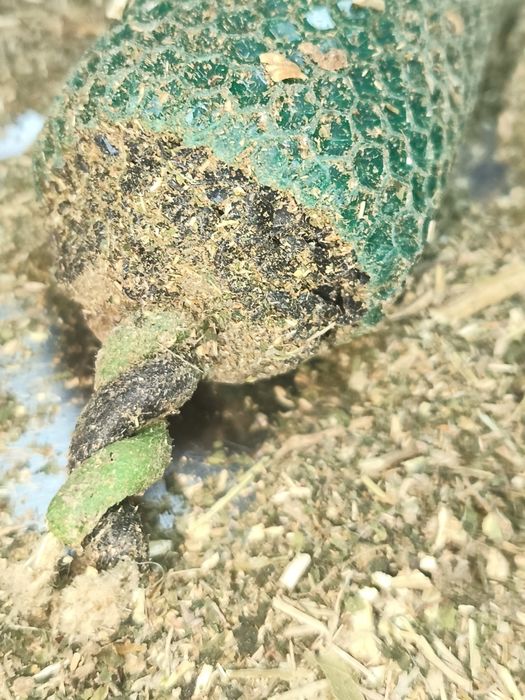 Свечи из вощины на чистку финансового канала