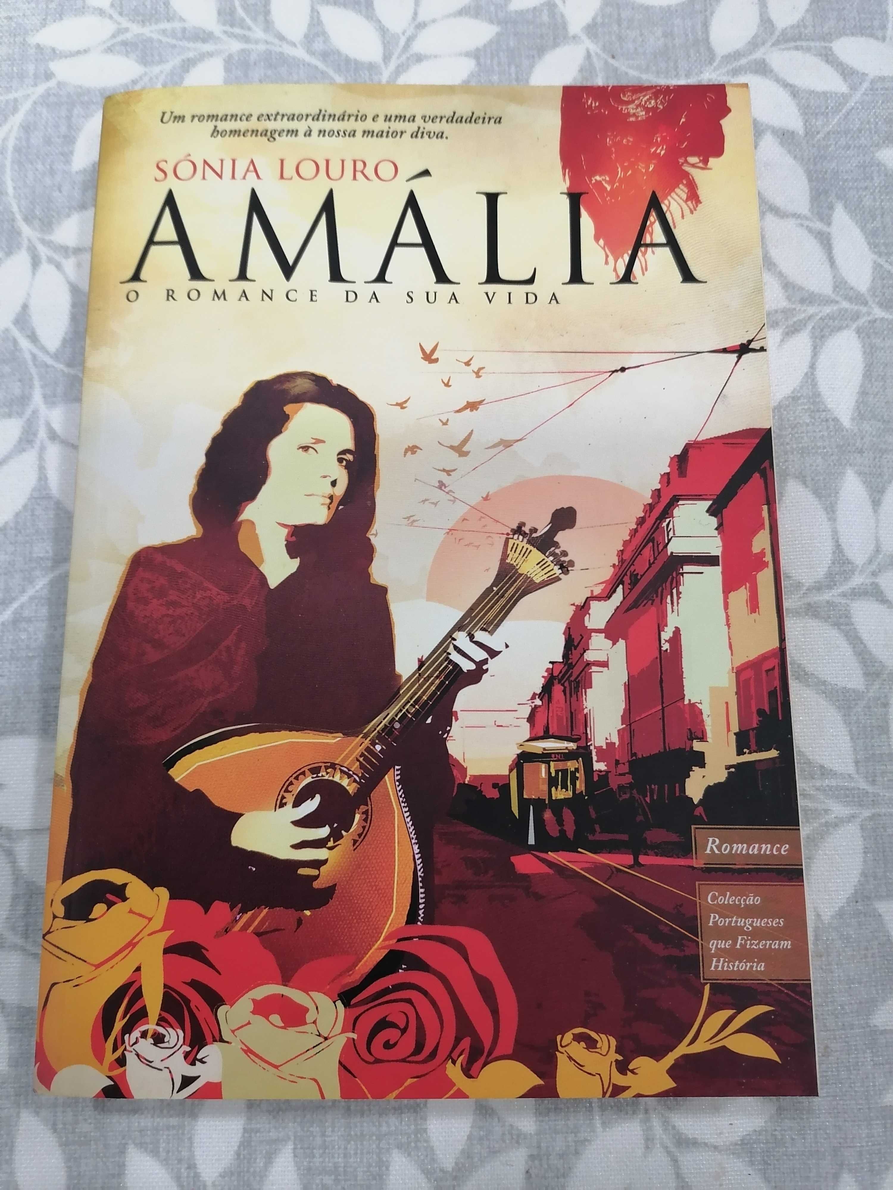 livro Amalia o romance da sua vida