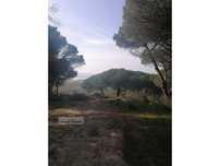 Terreno 350M2 Courela Do Pinhal