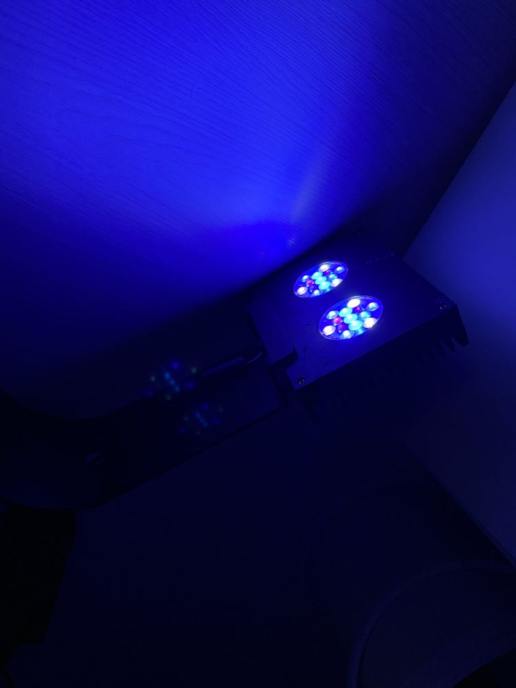 AI Hydra 26HD + uchwyt