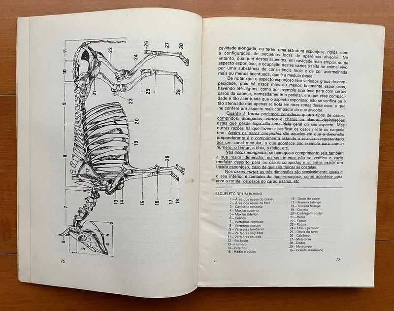 Anatomia Fisiologia e Exterior dos Animais Domésticos