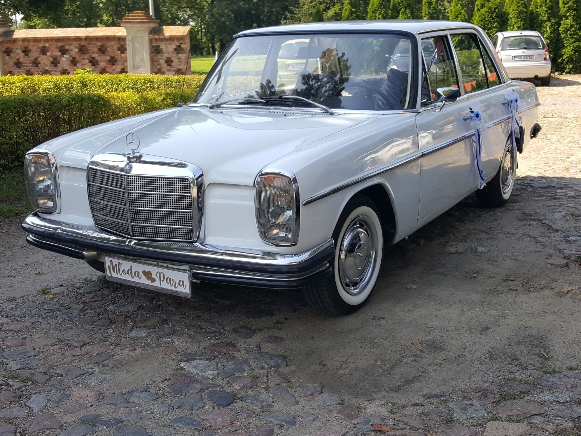 Mercedes   zabytkowy Auto. Samochód do ślubu