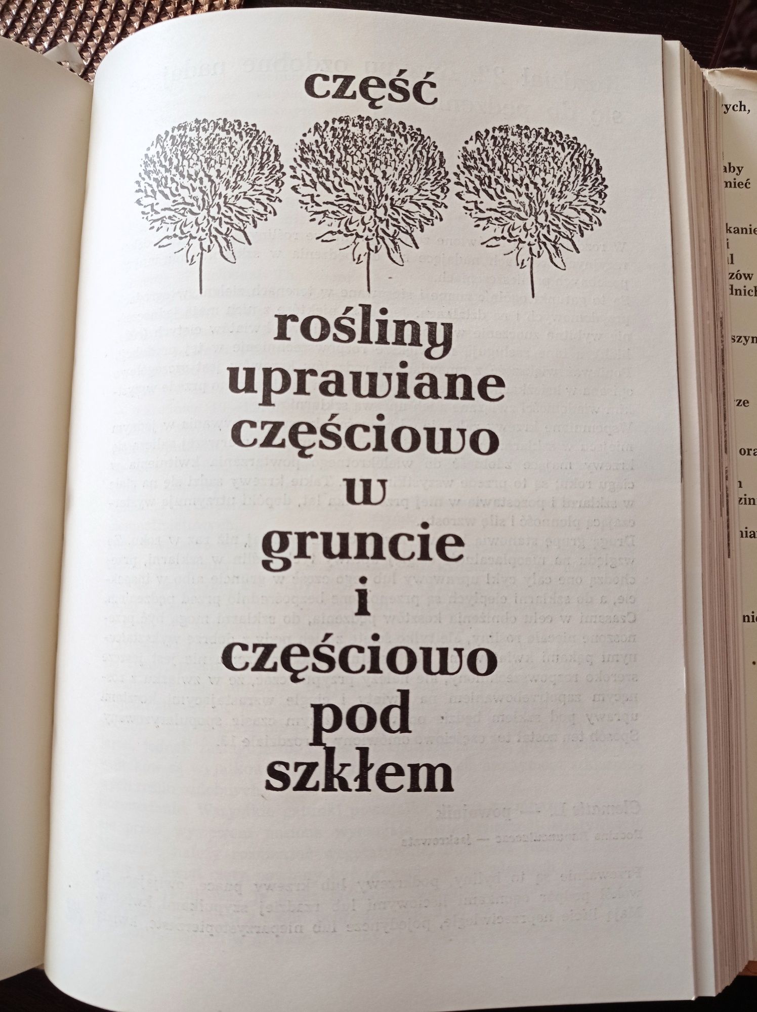 Uprawa roślin ozdobnych