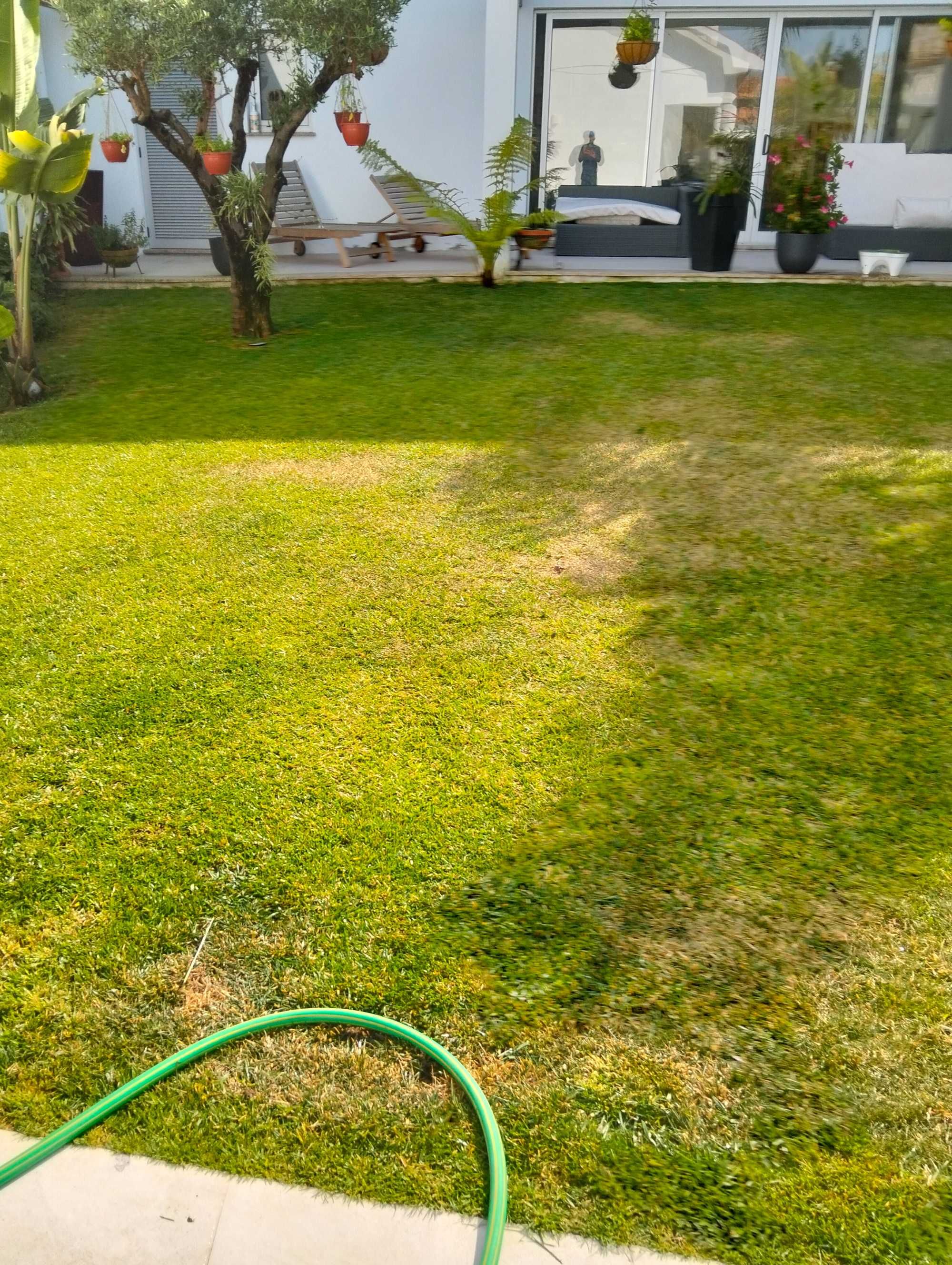 Limpeza de terrenos e jardinagem