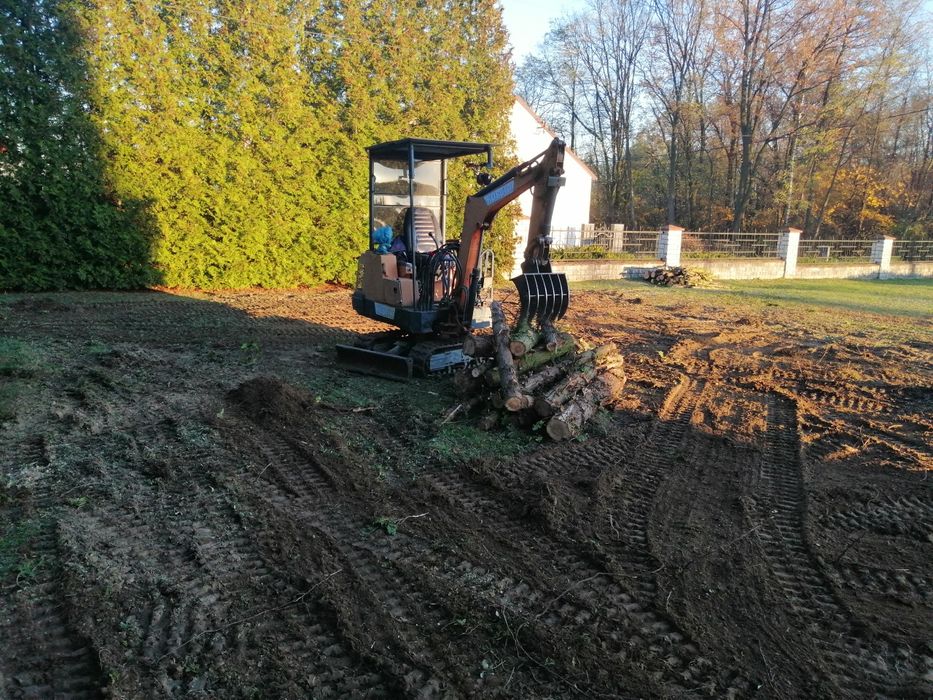 Formowanie krzewów usuwanie korzeni, wycinka.