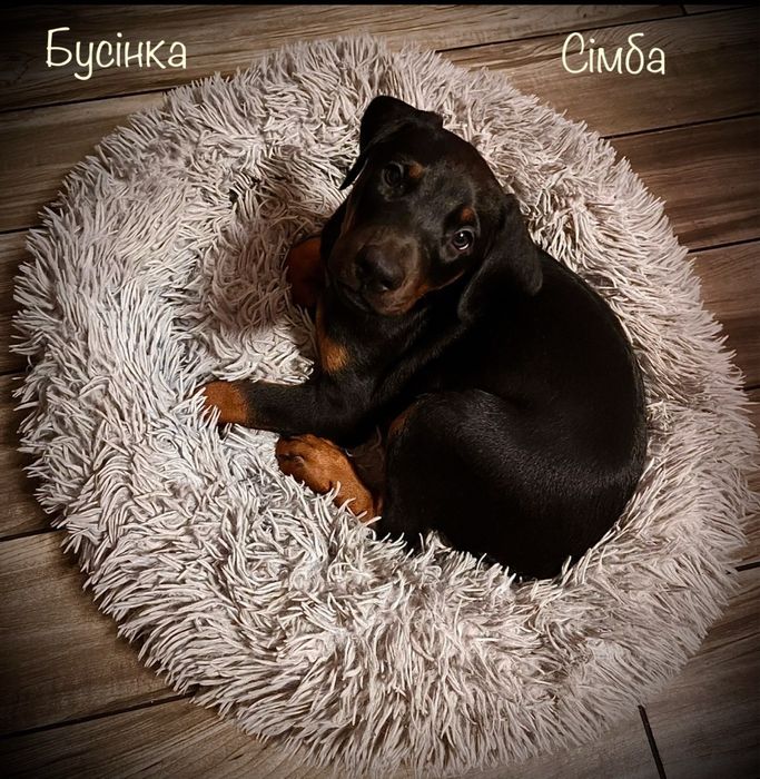 Малюки чекають на родину