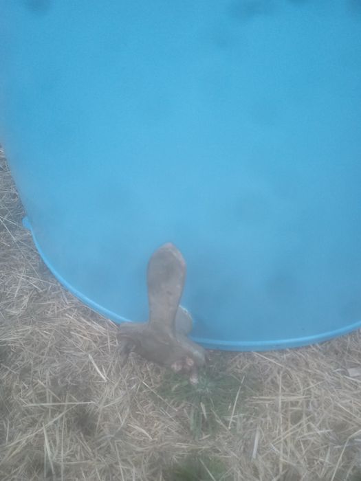 Extrator de mel antigo