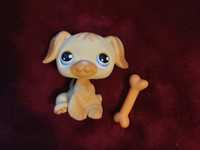 Figurka LITTLEST PET SHOP #286 Golden Retriever + dodatek- UNIKAT 2004