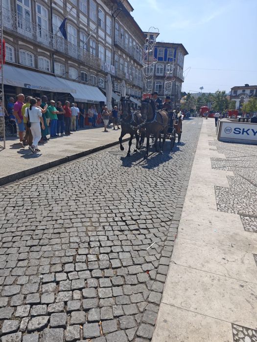 Parelha de cavalos baios
